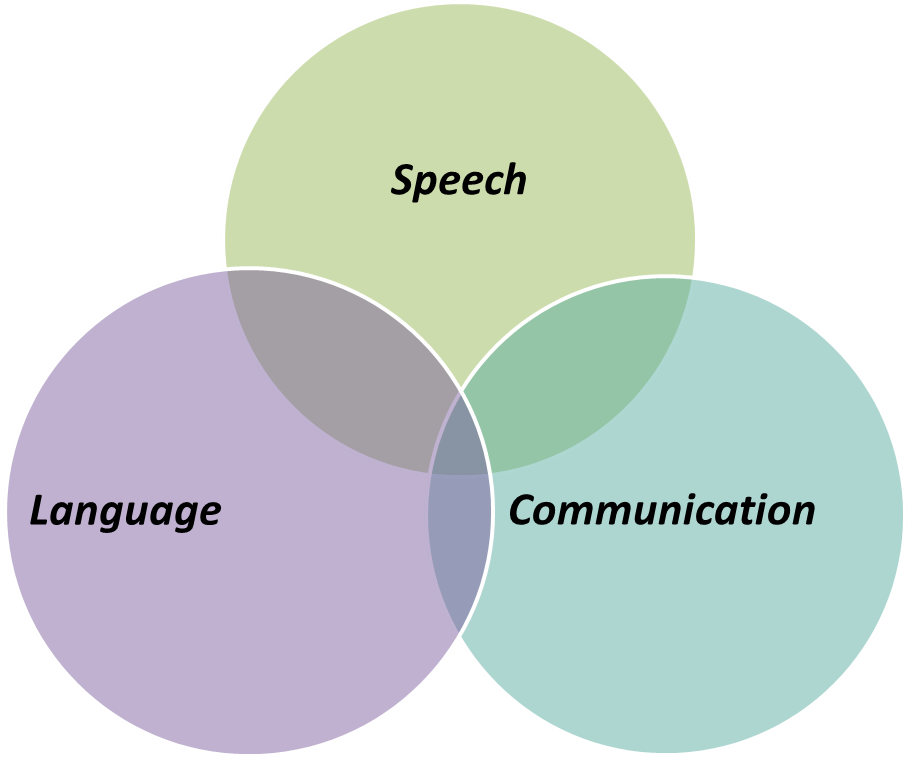 Speech, language and communication overlap with one another.